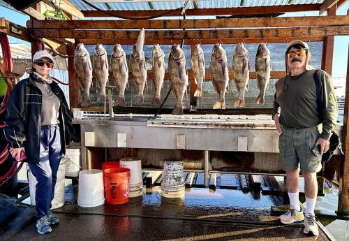 Two anglers with a full rack of fish