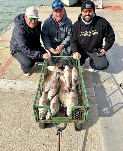 Three anglers with a cart full of redfish