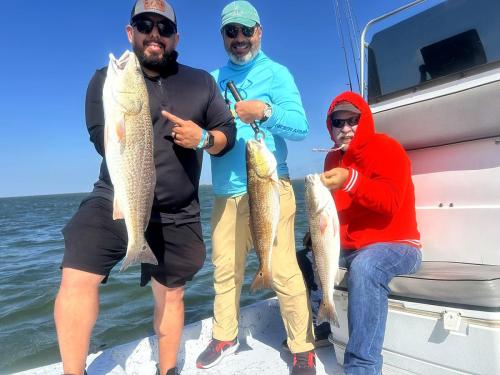 Three anglers with redfish